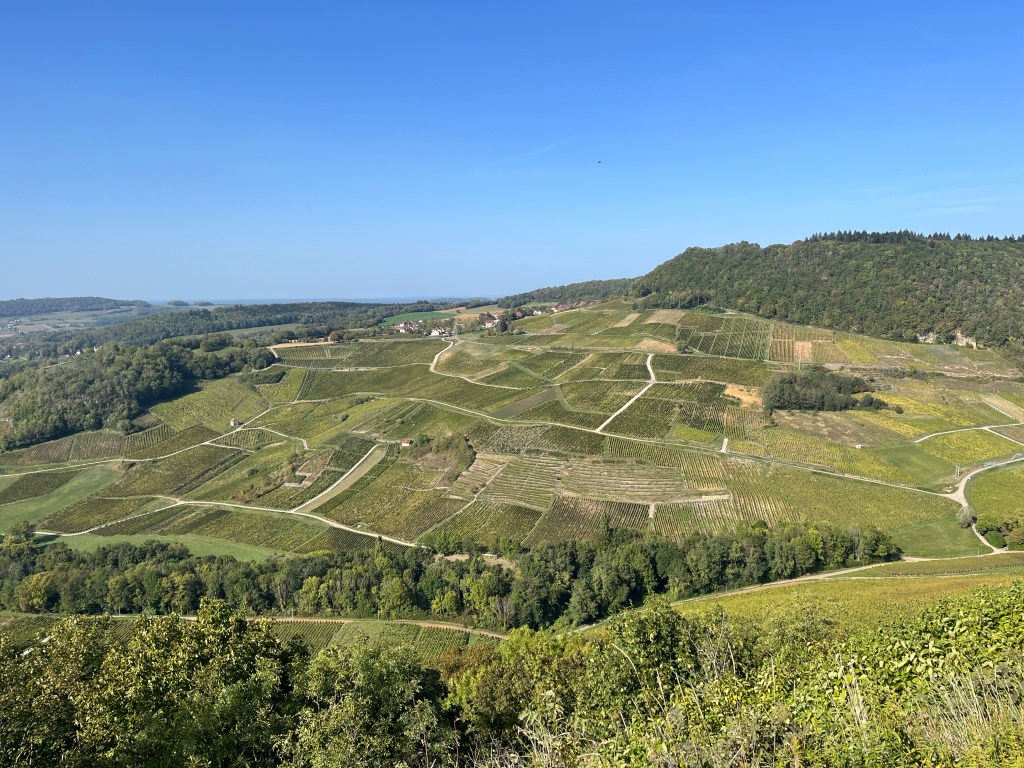 Vignobles de Château-Chalon
Jura
itinéraire jura nature patrimoine