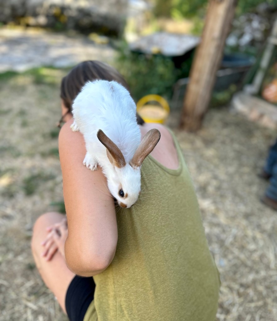 itinéraire gorges du tarn
home camper