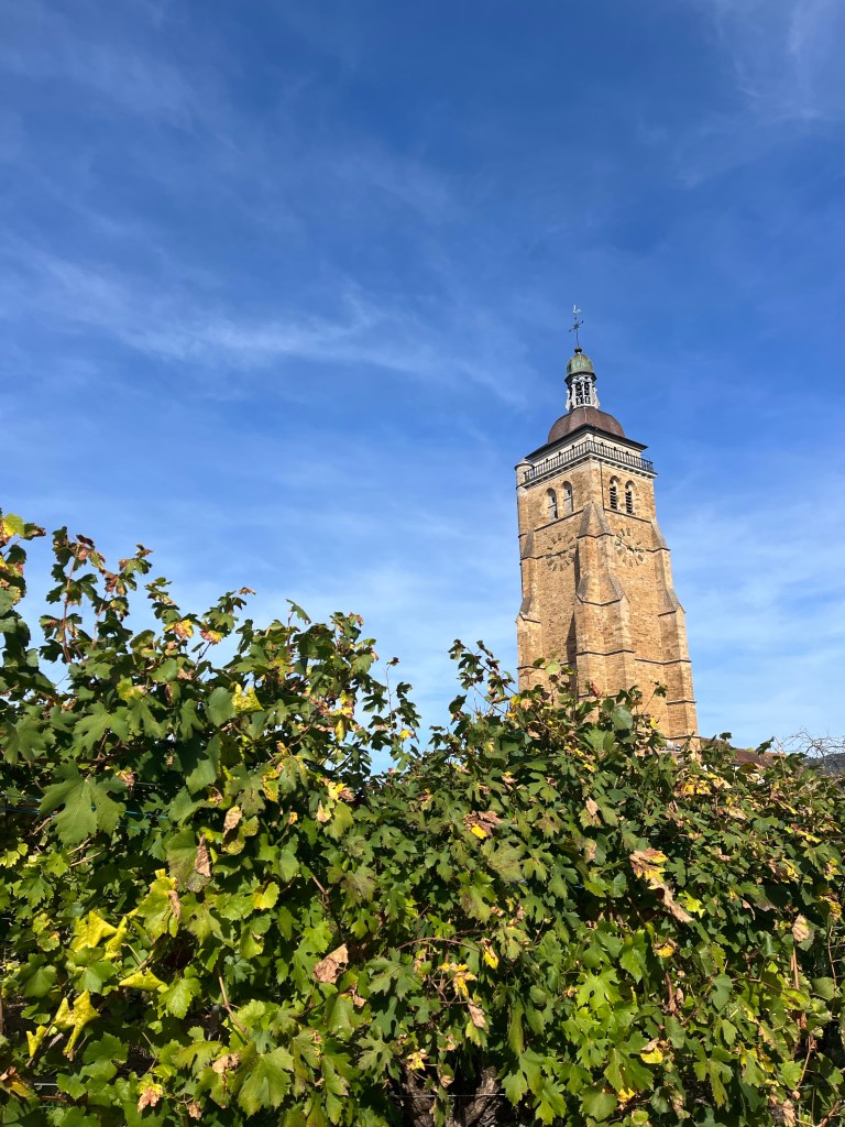 arbois
itinéraire jura nature patrimoine