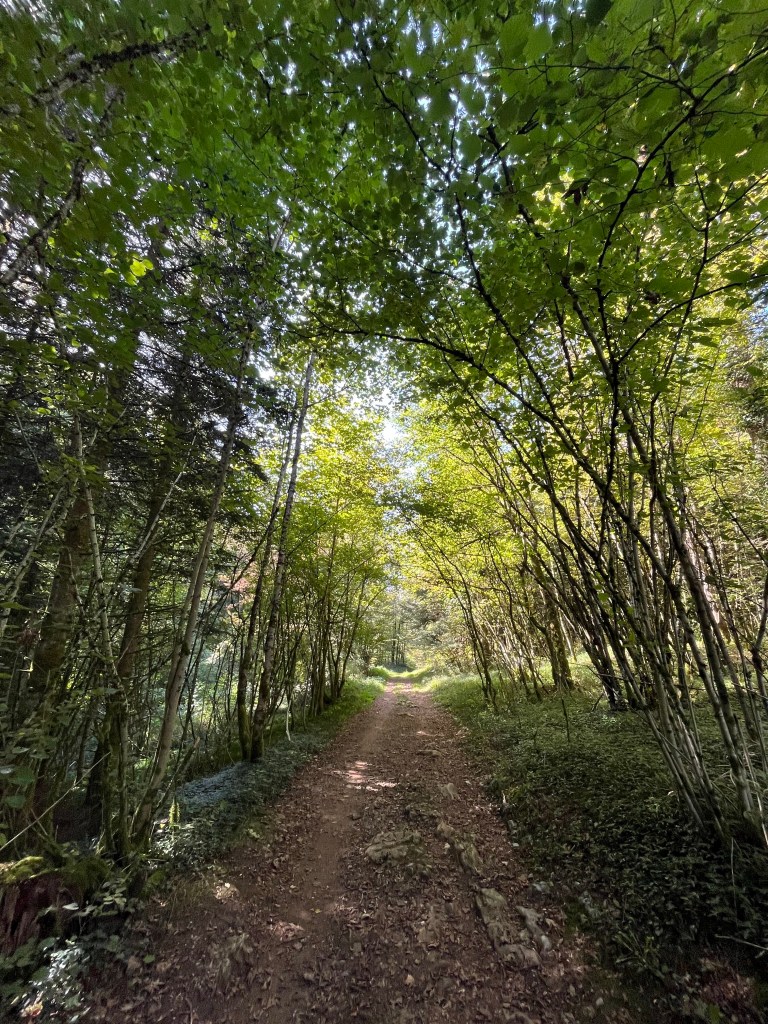 itinéraire jura nature patrimoine