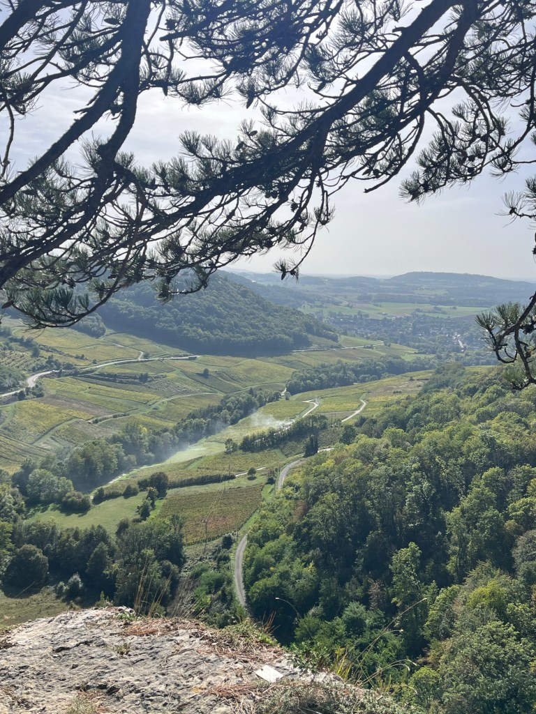 vignobles château chalon jura