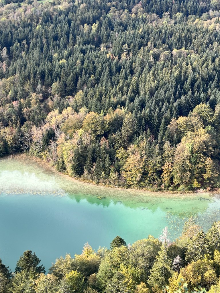 Belvédère des Quatre Lacs
Jura
itinéraire jura nature patrimoine