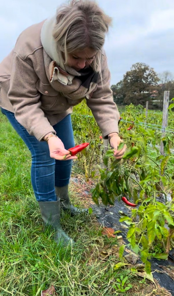 artisans producteurs locaux éleveur gastronomie bian manger artisanat producteur local produits locaux carte épicurienne carte routière gourmande