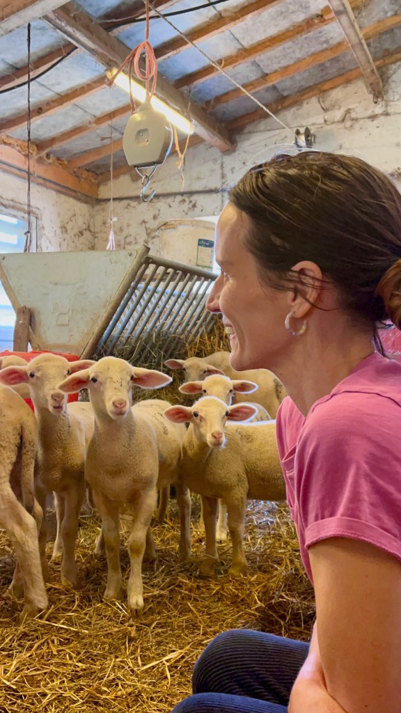 artisans producteurs locaux éleveur gastronomie bian manger artisanat producteur local produits locaux carte épicurienne carte routière gourmande