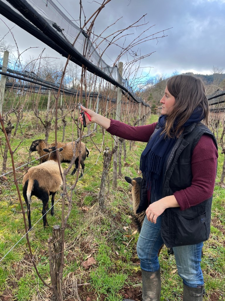 artisans producteurs locaux éleveur gastronomie bian manger artisanat producteur local produits locaux carte épicurienne carte routière gourmande