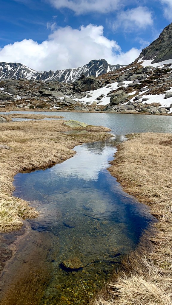nature patrimoine randonnée guide alpes-maritimes